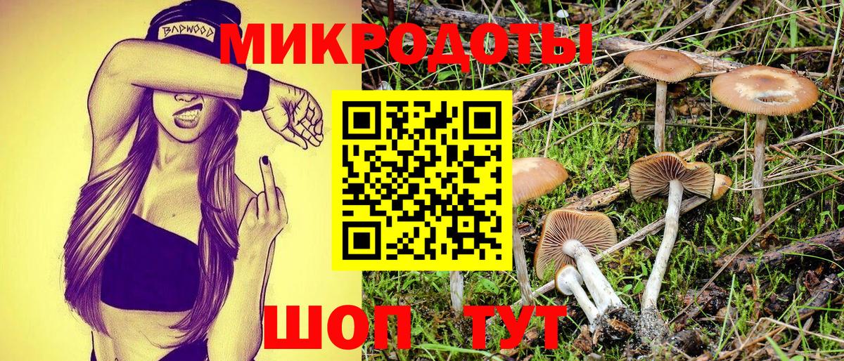 купить наркотики цена  Псилоцибиновые грибы Cubensis  Вход с VPN  Белореченск 